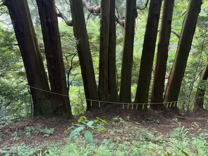 天岩戸神社の{uncategorized: "未分類", other: "その他", undefined: "問題あり", building: "その他建物", grave: "お墓", sacred_gate: "鳥居", guardian: "狛犬", statue: "像", buddha: "仏像", history: "歴史", nature: "自然", garden: "庭園", animal: "動物", pagoda: "塔", temizu: "手水舎", mountain_gate: "山門・神門", sanctuary: "本殿・本堂", subordinate: "末社・摂社", art: "芸術", scenery: "景色", jizo: "地蔵", ema: "絵馬", goshuin: "御朱印", omikuji: "おみくじ", items: "授与品その他", amulet: "お守り", goshuincho: "御朱印帳", eats: "食事", festival: "お祭り", votive_dance: "神楽", shichigosan: "七五三参", wedding: "結婚式", experience: "体験その他", initially: "初詣", around: "周辺", anti_infection: "感染症対策"}