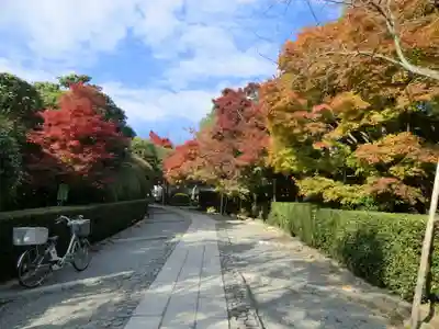 龍安寺(京都府)