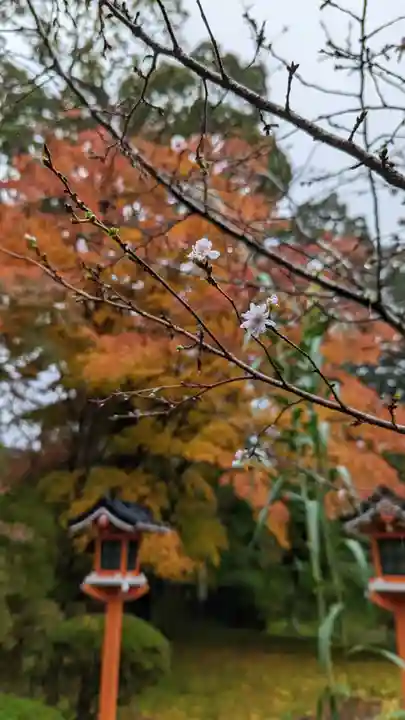 十輪寺(京都府)