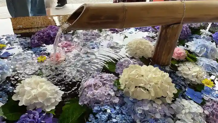 鶴岡八幡宮の手水舎