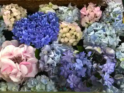 伊和志津神社の手水舎