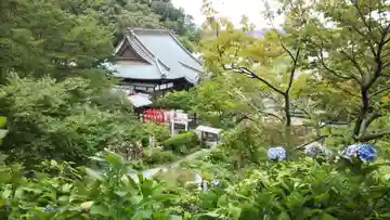 本勝寺の本殿・本堂