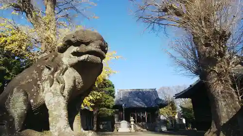 赤塚諏訪神社の狛犬