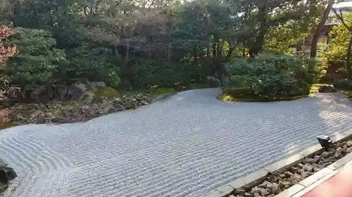 圓徳院(京都府)