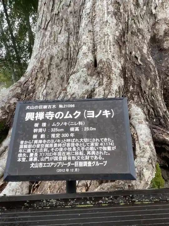 興禅寺のその他建物