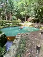 大麻比古神社(徳島県)