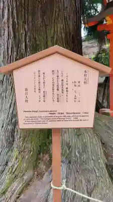 春日大社の{uncategorized: "未分類", other: "その他", undefined: "問題あり", building: "その他建物", grave: "お墓", sacred_gate: "鳥居", guardian: "狛犬", statue: "像", buddha: "仏像", history: "歴史", nature: "自然", garden: "庭園", animal: "動物", pagoda: "塔", temizu: "手水舎", mountain_gate: "山門・神門", sanctuary: "本殿・本堂", subordinate: "末社・摂社", art: "芸術", scenery: "景色", jizo: "地蔵", ema: "絵馬", goshuin: "御朱印", omikuji: "おみくじ", items: "授与品その他", amulet: "お守り", goshuincho: "御朱印帳", eats: "食事", festival: "お祭り", votive_dance: "神楽", shichigosan: "七五三参", wedding: "結婚式", experience: "体験その他", initially: "初詣", around: "周辺", anti_infection: "感染症対策"}