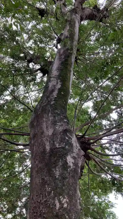 御崎宮(岡山県)