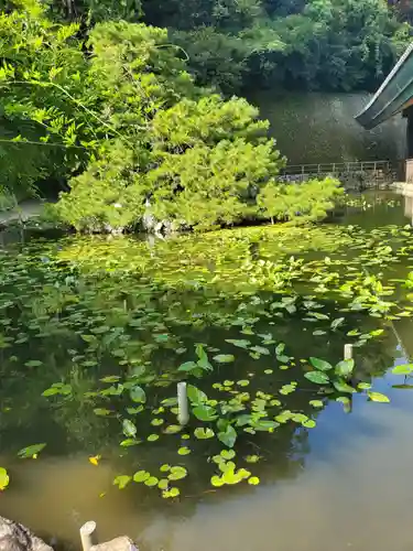 出雲大社神楽殿(島根県)