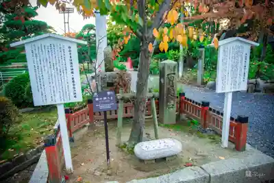 白山神社(新潟県)