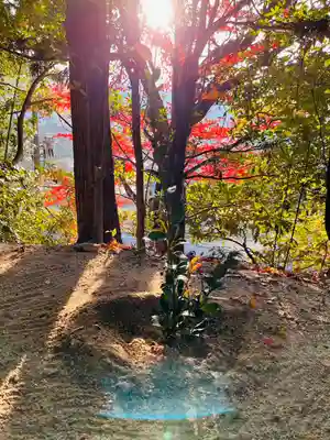 石内のお大師さん　金剛院(広島県)