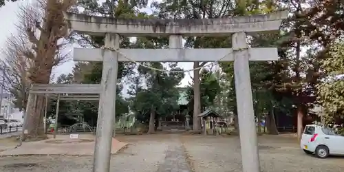 井細田八幡神社の鳥居