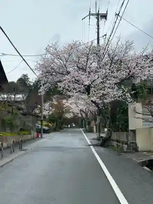 毘沙門堂門跡(京都府)