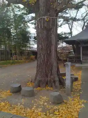 蓮華寺(宮城県)