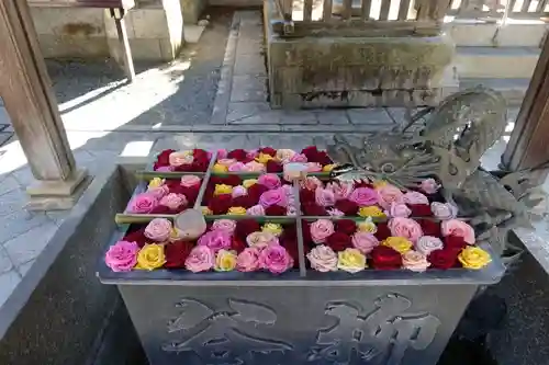 柳谷観音　楊谷寺の手水舎