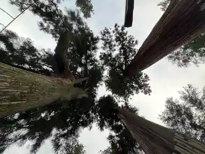 妙義神社(群馬県)
