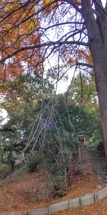 古江稲荷神社(大阪府)