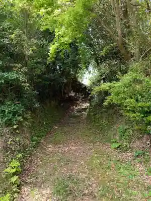 稲荷神社の自然