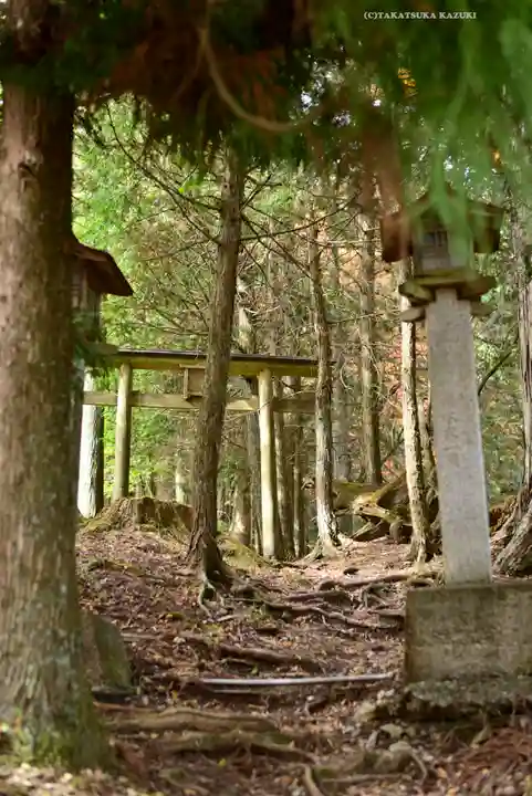 三峯神社(埼玉県)