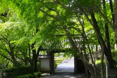 西教寺(滋賀県)