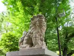 亀戸 香取神社の狛犬