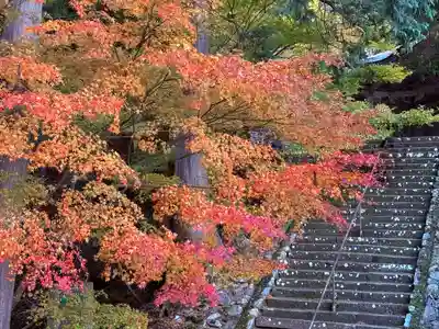 明通寺(福井県)