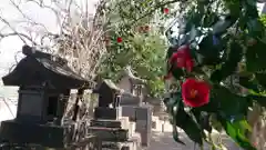 早尾神社の末社