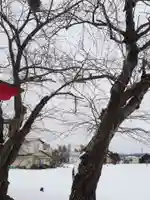 新山神社の自然