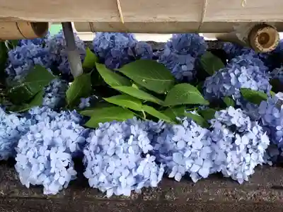 鳩森八幡神社の手水舎