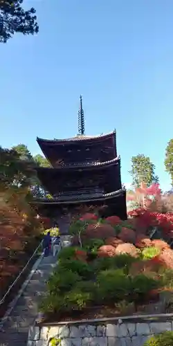 常樂寺の塔