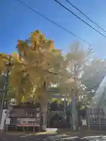 波除神社(波除稲荷神社)(東京都)