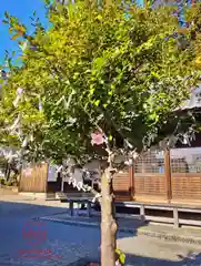 立志神社(滋賀県)