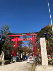 富岡八幡宮の鳥居