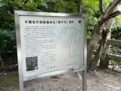 木嶋坐天照御魂神社(京都府)