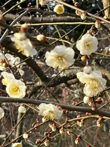 大縣神社の{uncategorized: "未分類", other: "その他", undefined: "問題あり", building: "その他建物", grave: "お墓", sacred_gate: "鳥居", guardian: "狛犬", statue: "像", buddha: "仏像", history: "歴史", nature: "自然", garden: "庭園", animal: "動物", pagoda: "塔", temizu: "手水舎", mountain_gate: "山門・神門", sanctuary: "本殿・本堂", subordinate: "末社・摂社", art: "芸術", scenery: "景色", jizo: "地蔵", ema: "絵馬", goshuin: "御朱印", omikuji: "おみくじ", items: "授与品その他", amulet: "お守り", goshuincho: "御朱印帳", eats: "食事", festival: "お祭り", votive_dance: "神楽", shichigosan: "七五三参", wedding: "結婚式", experience: "体験その他", initially: "初詣", around: "周辺", anti_infection: "感染症対策"}