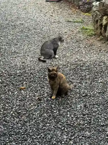 唐澤山神社(栃木県)