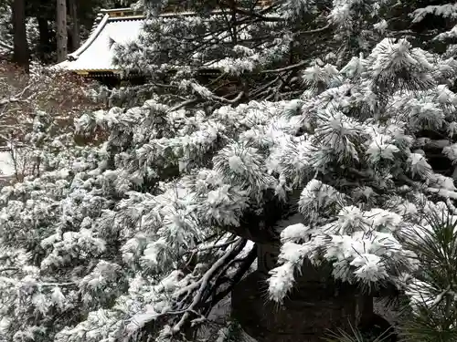 日光山輪王寺 大猷院(栃木県)