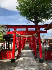 於菊稲荷神社の鳥居