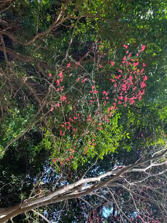 瀧神社(茨城県)