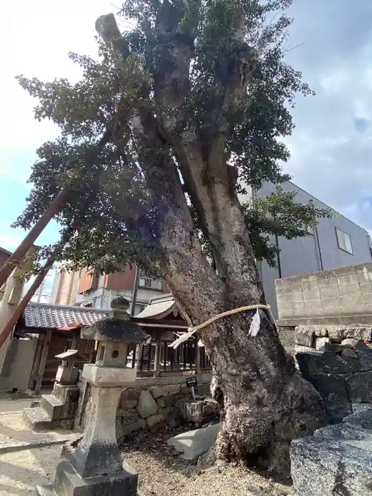 伊勢神社(岡山県)