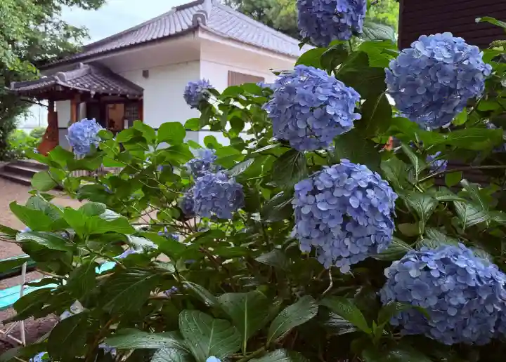 音楽寺(愛知県)