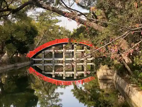 住吉大社の{uncategorized: "未分類", other: "その他", undefined: "問題あり", building: "その他建物", grave: "お墓", sacred_gate: "鳥居", guardian: "狛犬", statue: "像", buddha: "仏像", history: "歴史", nature: "自然", garden: "庭園", animal: "動物", pagoda: "塔", temizu: "手水舎", mountain_gate: "山門・神門", sanctuary: "本殿・本堂", subordinate: "末社・摂社", art: "芸術", scenery: "景色", jizo: "地蔵", ema: "絵馬", goshuin: "御朱印", omikuji: "おみくじ", items: "授与品その他", amulet: "お守り", goshuincho: "御朱印帳", eats: "食事", festival: "お祭り", votive_dance: "神楽", shichigosan: "七五三参", wedding: "結婚式", experience: "体験その他", initially: "初詣", around: "周辺", anti_infection: "感染症対策"}