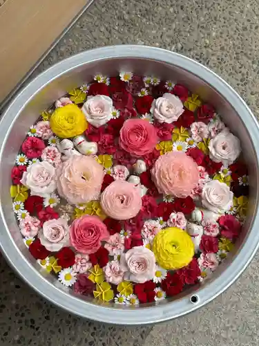 御井神社(岐阜県)