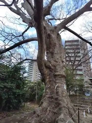 愛宕神社(福島県)