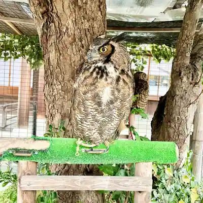 宮地嶽神社(福岡県)