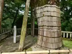 白山比咩神社(石川県)