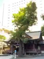 三吉神社の本殿・本堂