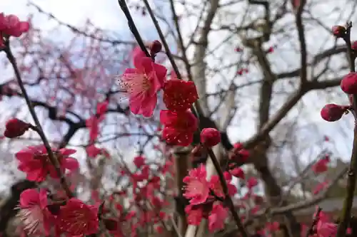 北野天満宮の庭園