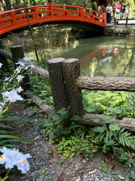小國神社の{uncategorized: "未分類", other: "その他", undefined: "問題あり", building: "その他建物", grave: "お墓", sacred_gate: "鳥居", guardian: "狛犬", statue: "像", buddha: "仏像", history: "歴史", nature: "自然", garden: "庭園", animal: "動物", pagoda: "塔", temizu: "手水舎", mountain_gate: "山門・神門", sanctuary: "本殿・本堂", subordinate: "末社・摂社", art: "芸術", scenery: "景色", jizo: "地蔵", ema: "絵馬", goshuin: "御朱印", omikuji: "おみくじ", items: "授与品その他", amulet: "お守り", goshuincho: "御朱印帳", eats: "食事", festival: "お祭り", votive_dance: "神楽", shichigosan: "七五三参", wedding: "結婚式", experience: "体験その他", initially: "初詣", around: "周辺", anti_infection: "感染症対策"}
