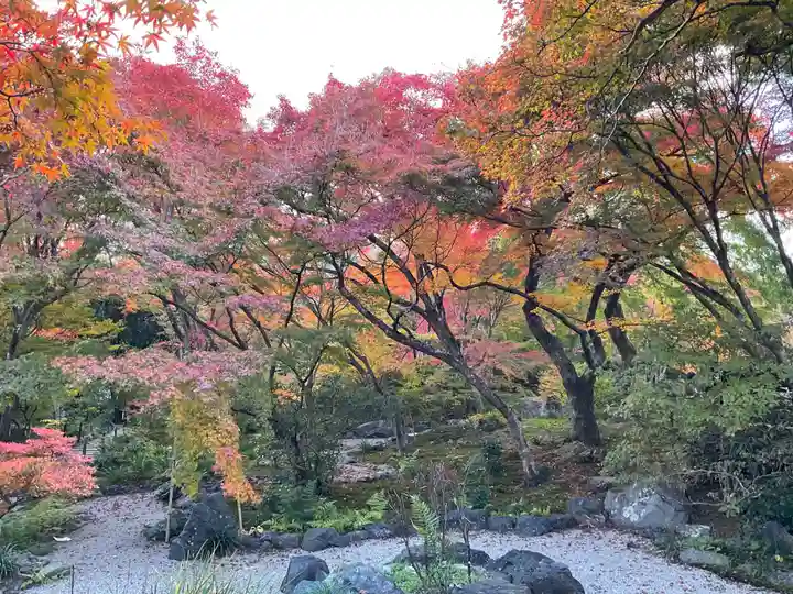 宝筐院(京都府)